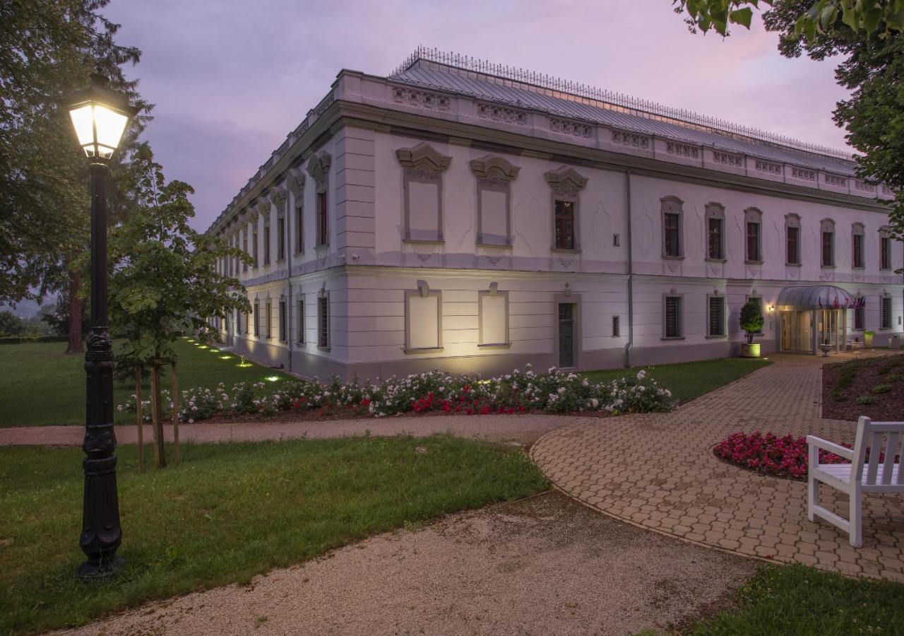Hotel Gino Park Palace Поважска-Бистрица Экстерьер фото