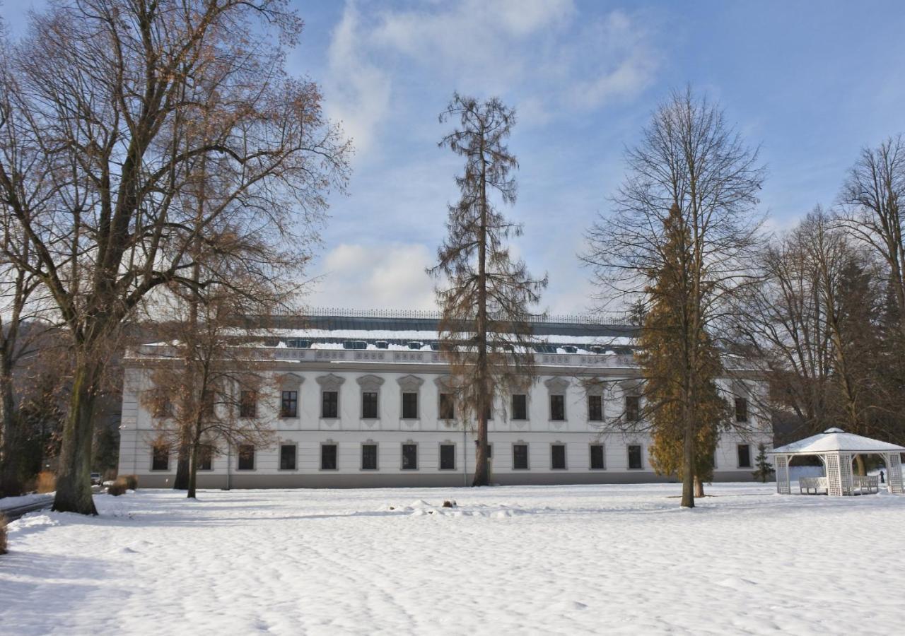 Hotel Gino Park Palace Поважска-Бистрица Экстерьер фото